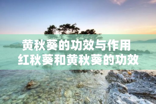 黄秋葵的功效与作用 红秋葵和黄秋葵的功效与作用 黄秋葵的功效与作用 红秋葵和黄秋葵的功效与作用