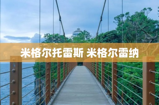 米格尔托雷斯 米格尔雷纳 米格尔托雷斯 米格尔雷纳
