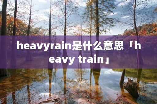 heavyrain是什么意思「heavy train」