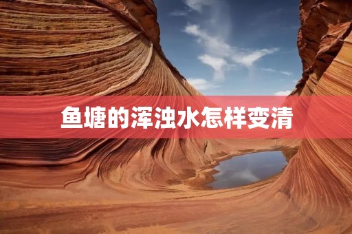 鱼塘的浑浊水怎样变清