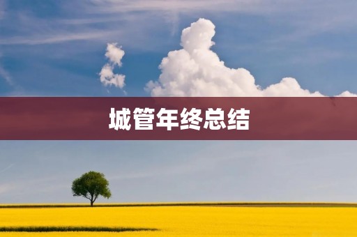 城管年终总结:2021年城市管理工作回顾与展望