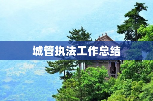 城管执法工作总结:加强监管,提升服务水平