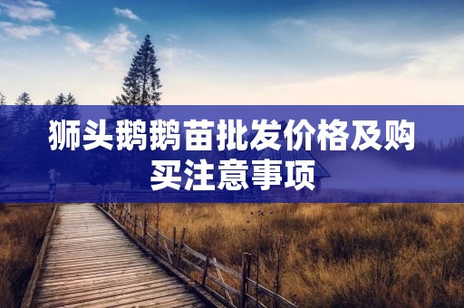 狮头鹅鹅苗批发价格及购买注意事项