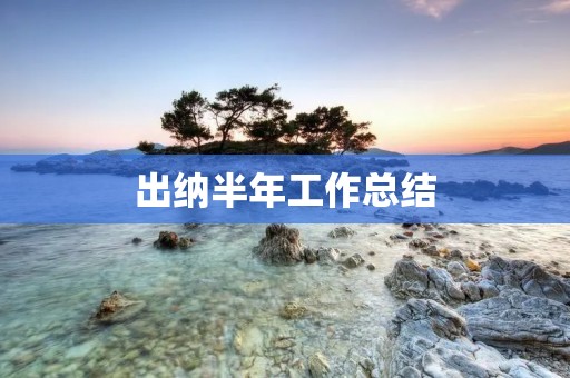 出纳半年工作总结