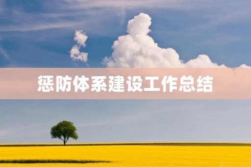 惩防体系建设工作总结