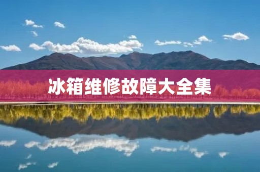 冰箱维修故障大全集:从常见故障到维修技巧 冰箱维修故障大全集:从常见故障到维修技巧