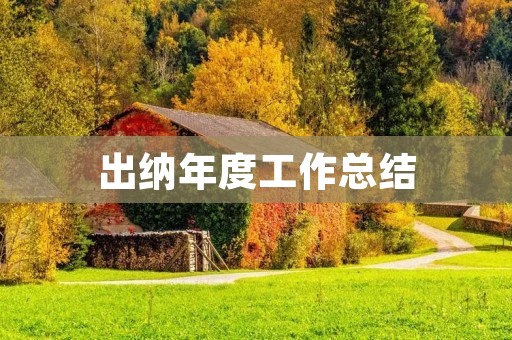 出纳年度工作总结