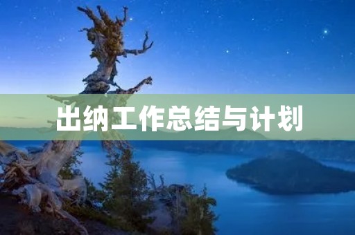 出纳工作总结与计划