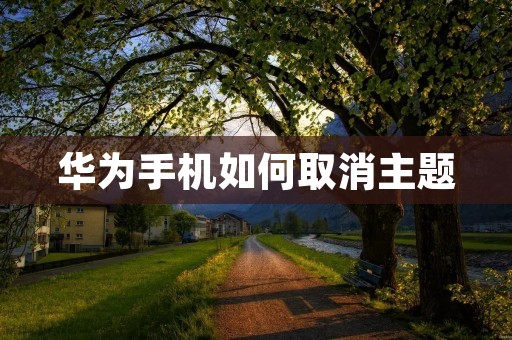 华为手机如何取消主题 华为手机如何取消主题