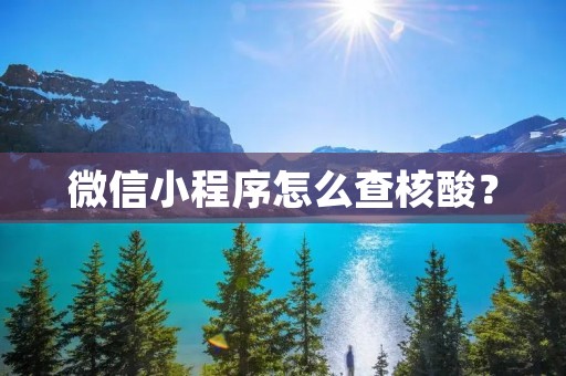 微信小程序怎么查核酸? 微信小程序怎么查核酸?
