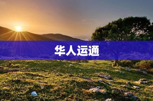 华人运通：中国汽车品牌的崛起