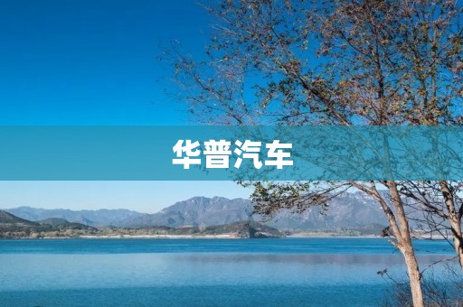 华普汽车：挑战市场的新秀