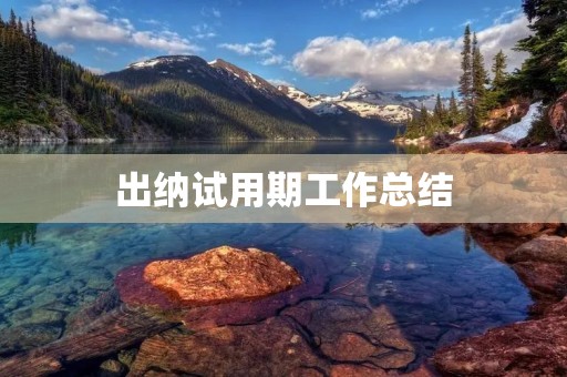 出纳试用期工作总结