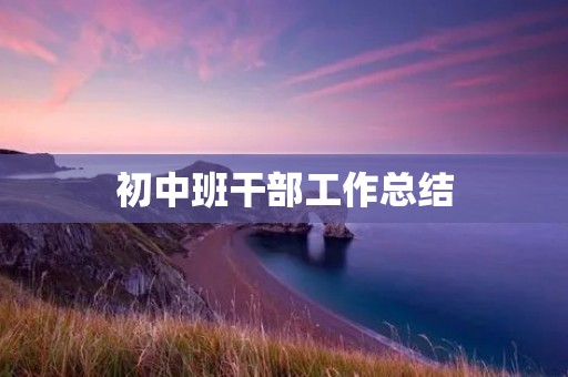 初中班干部工作总结