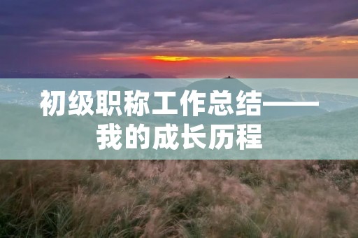 初级职称工作总结——我的成长历程