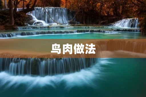 鸟肉做法:美味佳肴的制作方法 鸟肉做法:美味佳肴的制作方法