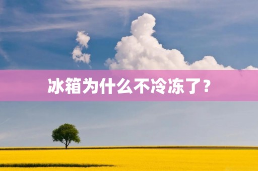 冰箱为什么不冷冻了? 冰箱为什么不冷冻了?