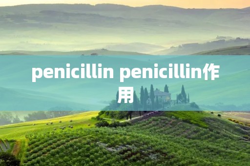 penicillin penicillin作用