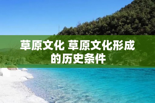 草原文化 草原文化形成的历史条件