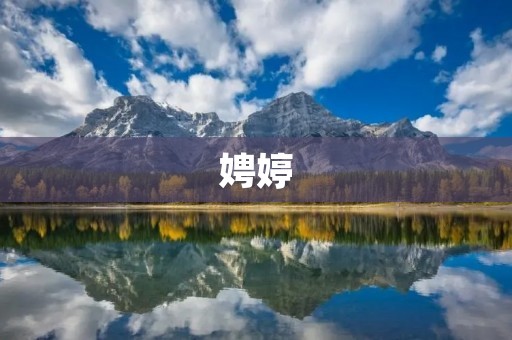 娉婷:一位优雅舞者的成长历程