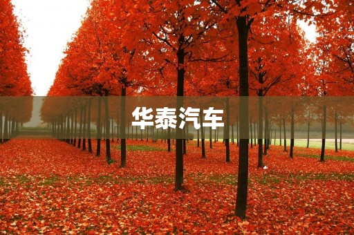 华泰汽车：成长之路