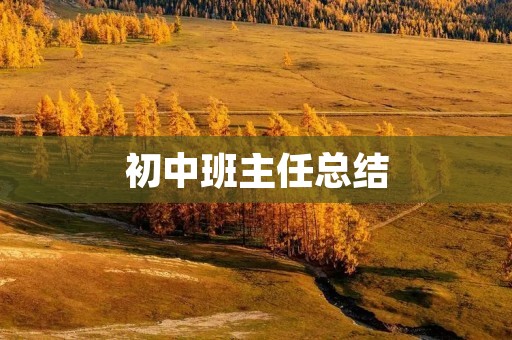 初中班主任总结:我的工作与思考