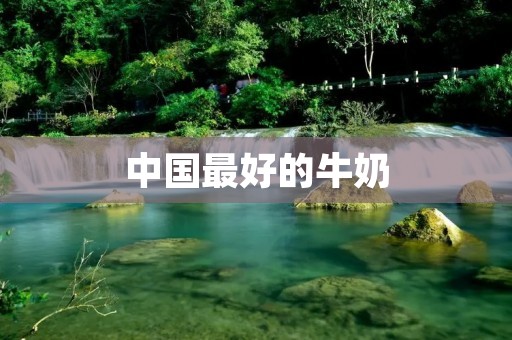 中国最好的牛奶:品质和口感的完美结合