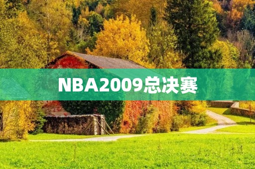 NBA2009总决赛：科比带领湖人夺冠
