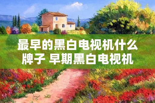 最早的黑白电视机什么牌子 早期黑白电视机品牌 最早的黑白电视机什么牌子 早期黑白电视机品牌