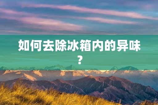 如何去除冰箱内的异味? 如何去除冰箱内的异味?