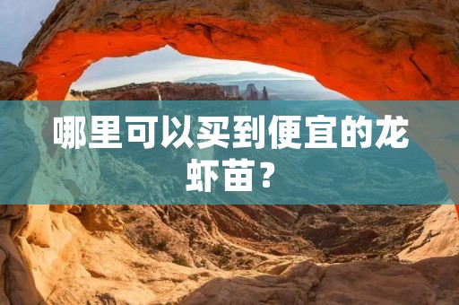 哪里可以买到便宜的龙虾苗？