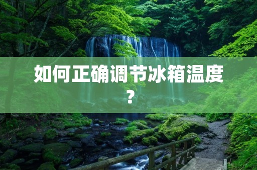 如何正确调节冰箱温度? 如何正确调节冰箱温度?