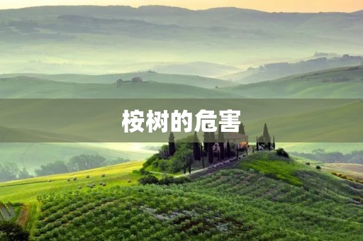 桉树的危害：对环境和人类产生的负面影响