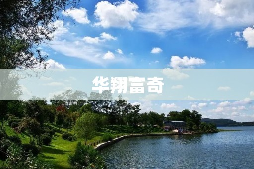 华翔富奇:引领中国电池行业的创新力量 华翔富奇:引领中国电池行业的创新力量