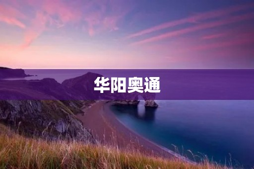 华阳奥通:让物联网更加智能化的关键 华阳奥通:让物联网更加智能化的关键