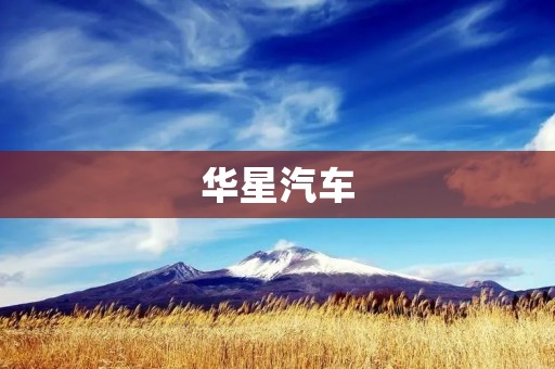 华星汽车:中国新能源汽车的领导者 华星汽车:中国新能源汽车的领导者