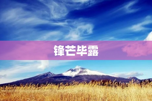 锋芒毕露:探究优秀人才的特质 锋芒毕露:探究优秀人才的特质