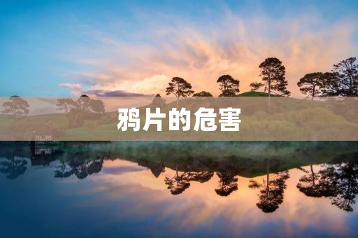 **的危害:毁灭身体与家庭和谐 **的危害:毁灭身体与家庭和谐