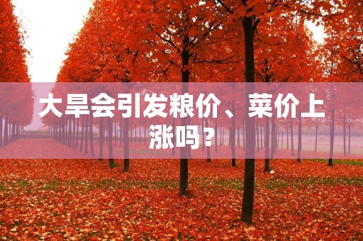 大旱会引发粮价、菜价上涨吗?