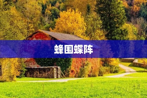 蜂围蝶阵:蝴蝶的生死时刻 蜂围蝶阵:蝴蝶的生死时刻