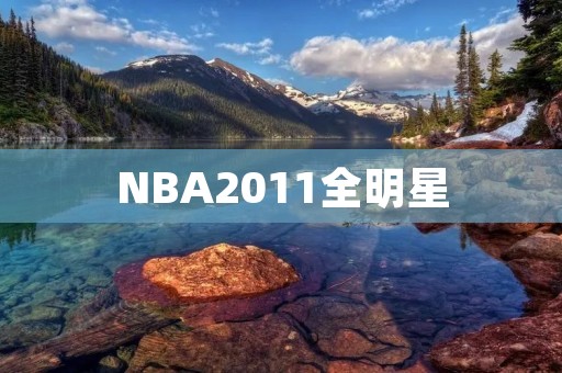 NBA2011全明星：超越辉煌的大秀