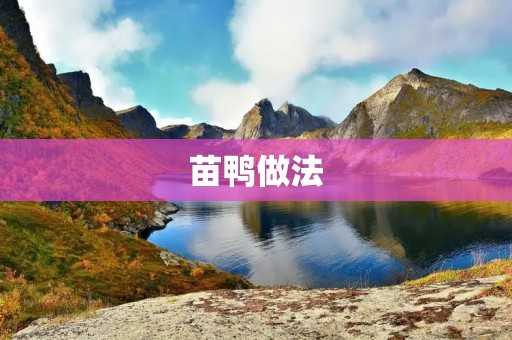 苗鸭做法:让你的口感更佳! 苗鸭做法:让你的口感更佳!