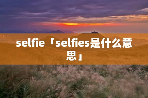 selfie「selfies是什么意思」