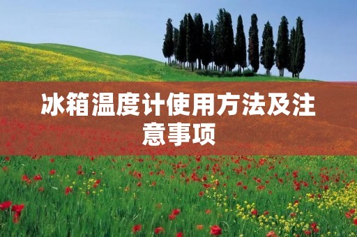 冰箱温度计使用方法及注意事项 冰箱温度计使用方法及注意事项