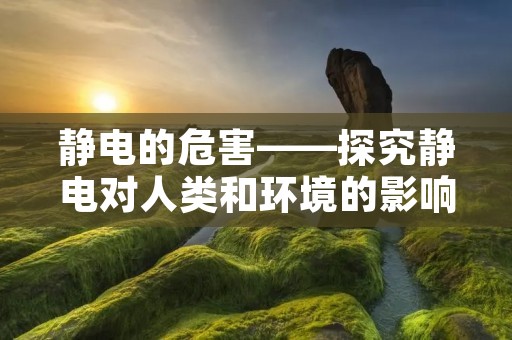 静电的危害——探究静电对人类和环境的影响 静电的危害——探究静电对人类和环境的影响