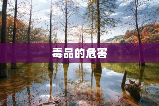 毒品的危害:从身体到心理的摧残 毒品的危害:从身体到心理的摧残