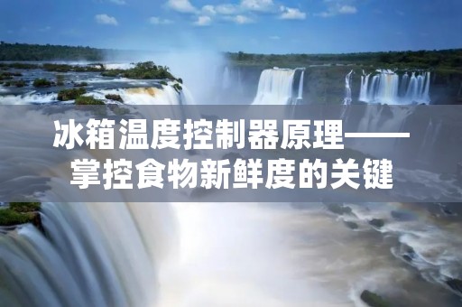 冰箱温度控制器原理——掌控食物新鲜度的关键 冰箱温度控制器原理——掌控食物新鲜度的关键