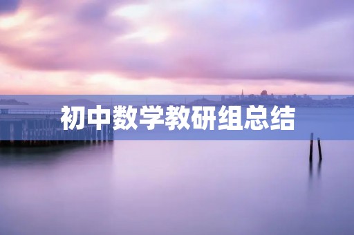 初中数学教研组总结:提升学生数学思维能力