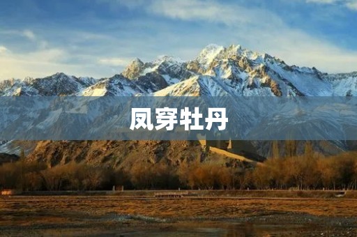 凤穿牡丹:传统文化中的美学符号 凤穿牡丹:传统文化中的美学符号