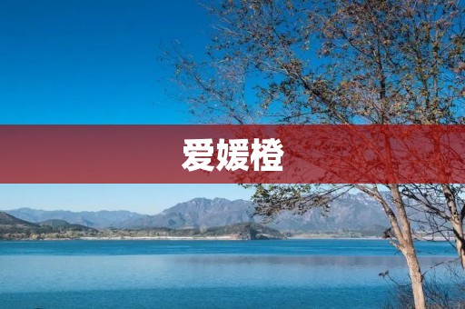 爱媛橙：日本四国的骄傲